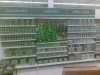 Chcesz pograć w koszykówkę, siatkówkę lub