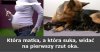 No więc która?