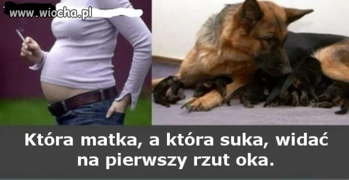 No więc która?