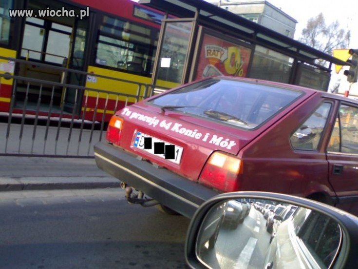 Tu pracują 64 konie i mół