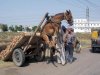 Ja latam, śpiewam, gadam 