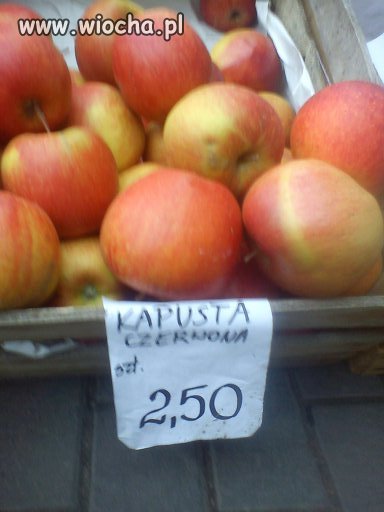 Sklep na Opławcu 