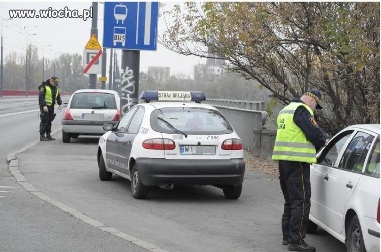 Polskie pasożyty...