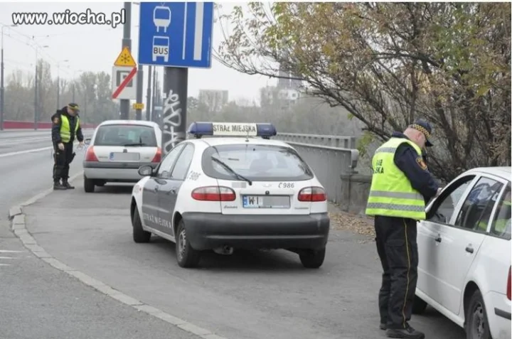 Polskie pasożyty...