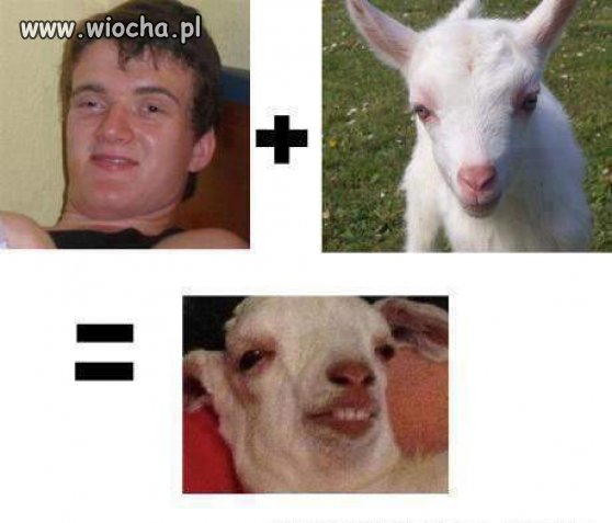 Zjarany Zbyszek