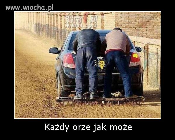 Auta szkoda ( ale co się nie robi dla ziela)