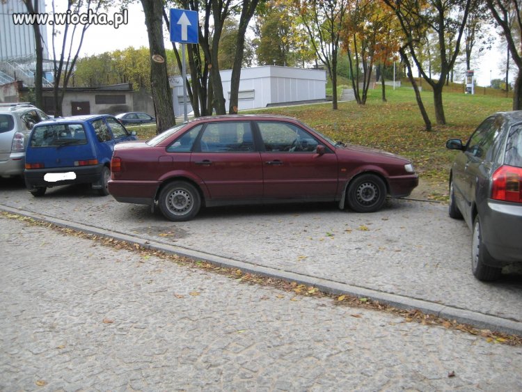 Z cyklu parkujemy