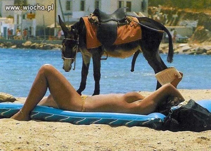 Zapraszam na ujeżdżanie. . .