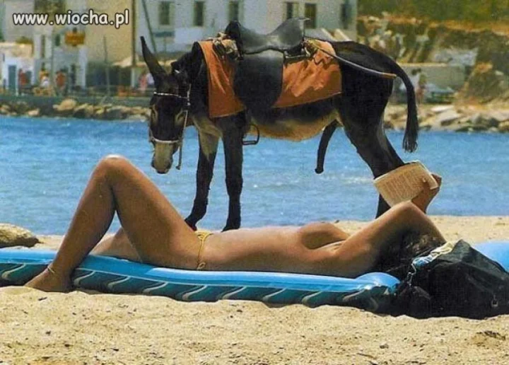 Zapraszam na ujeżdżanie. . .