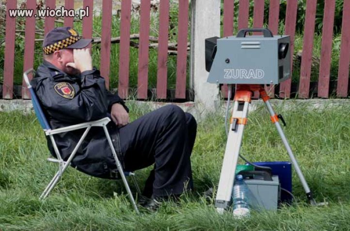 Ciężka praca Straży Miejskiej 
