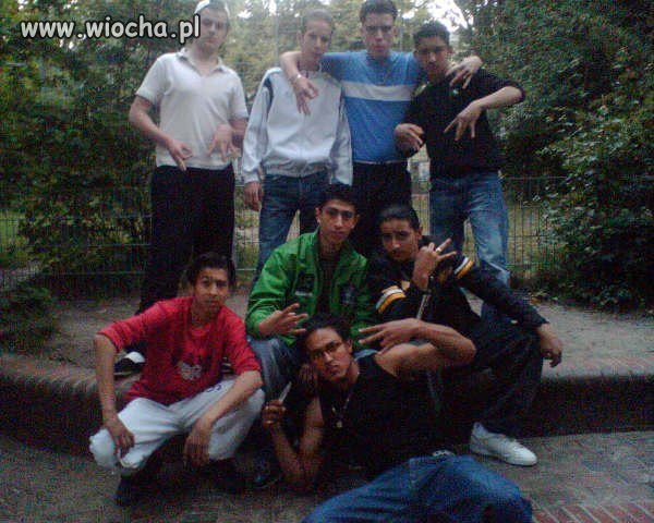 Jesteśmy gangsta 
