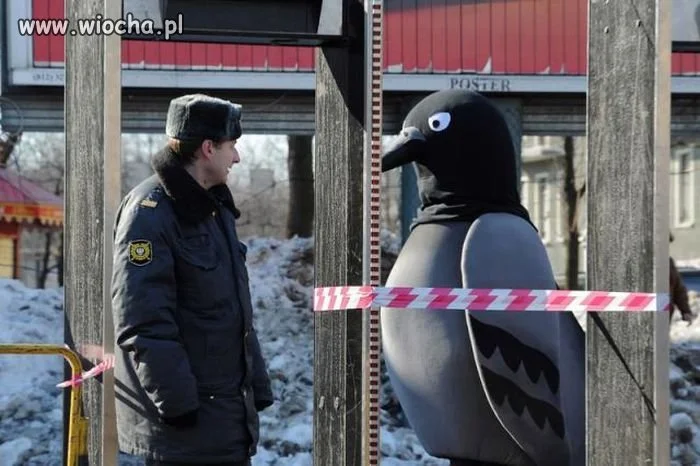 Angry Birds