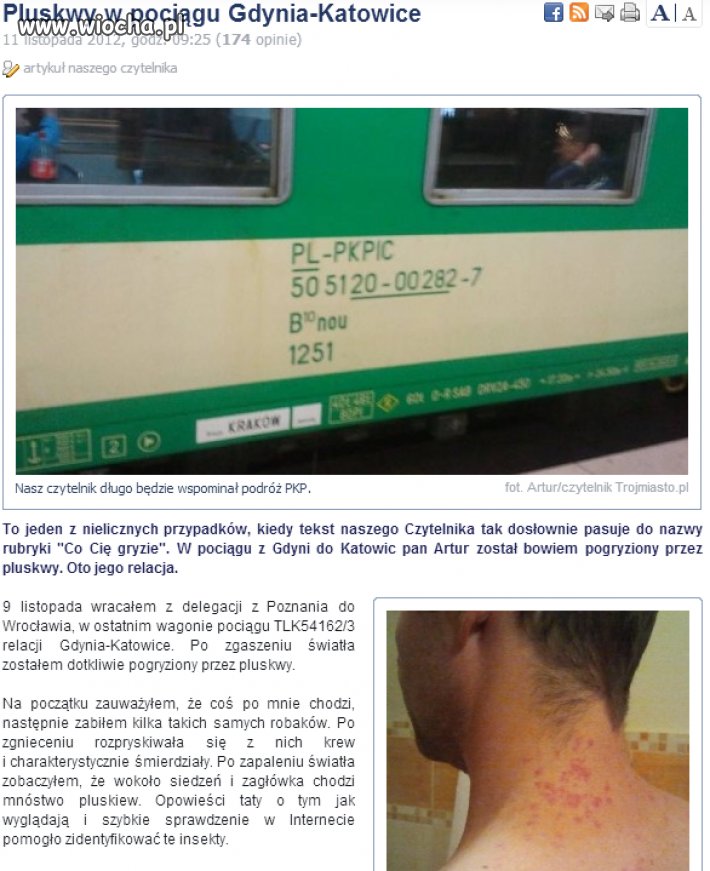 Pluskwy w pociągu PKP...