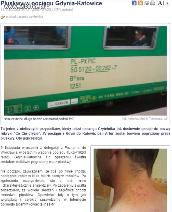 Pluskwy w pociągu PKP...