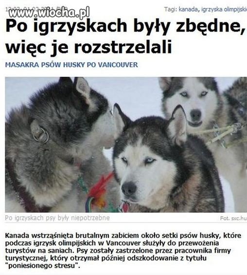 Igrzyska zakończone, psy niepotrzebne