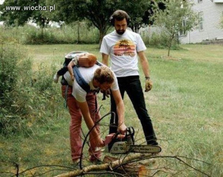 Cięcie drzewa z dzieckiem na plecach