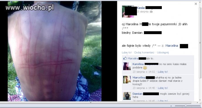 No no ciekawe plecki