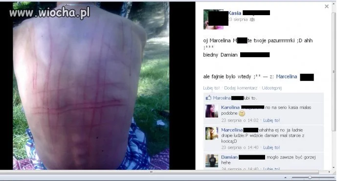 No no ciekawe plecki