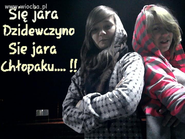 Jaracze w polsce
