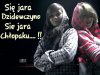 Jaracze w polsce