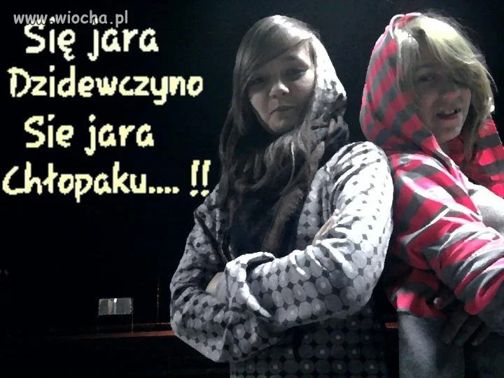 Jaracze w polsce
