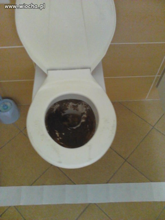 Szkolna toaleta