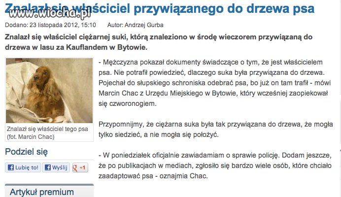 Nie dopilnował psa, oddali mu go z powrotem!