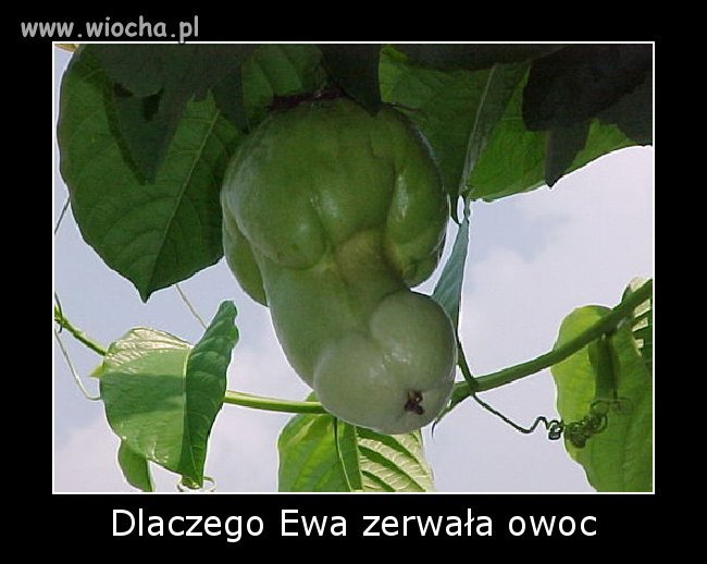 Naturalne kształty