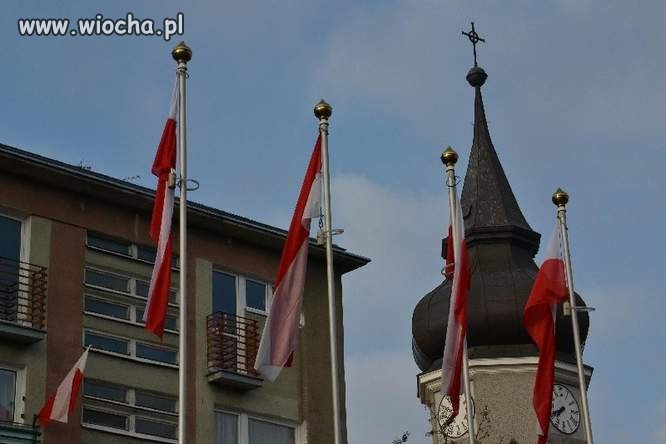 Flagi Zielona Góra 