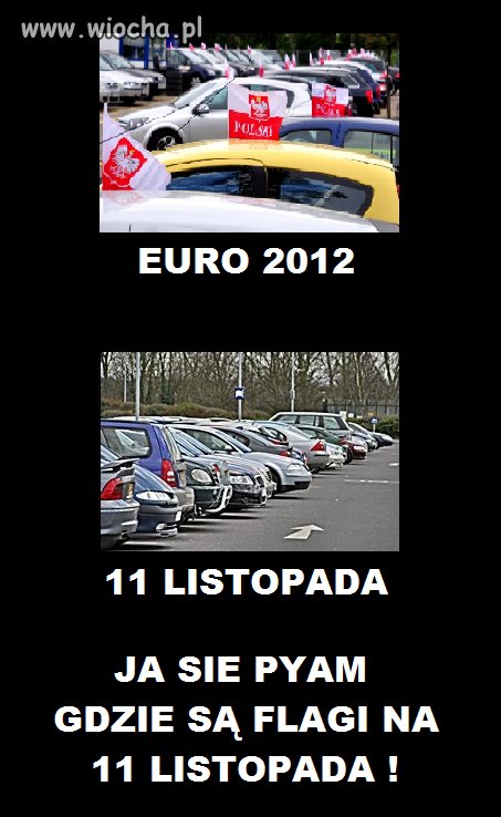 Euro a 11 listopada