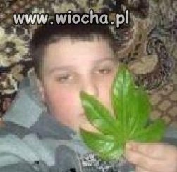 Się jara dziewczyno, się jara chłopaku