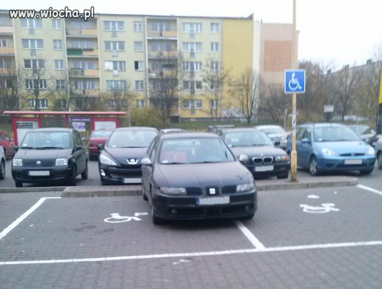 Bo kto mi zabroni
