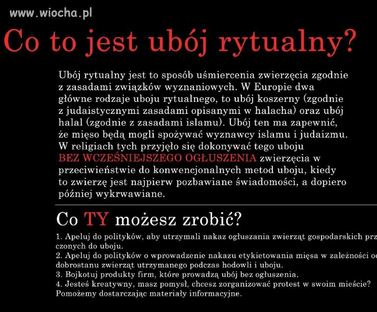 STOP rytualnym ubojom w Polsce
