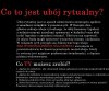STOP rytualnym ubojom w Polsce