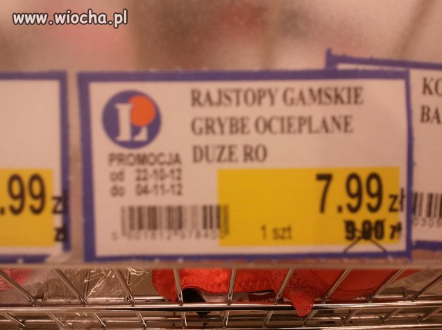 Gamskie i grybe 