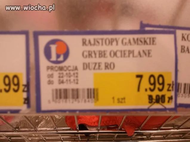 Gamskie i grybe 