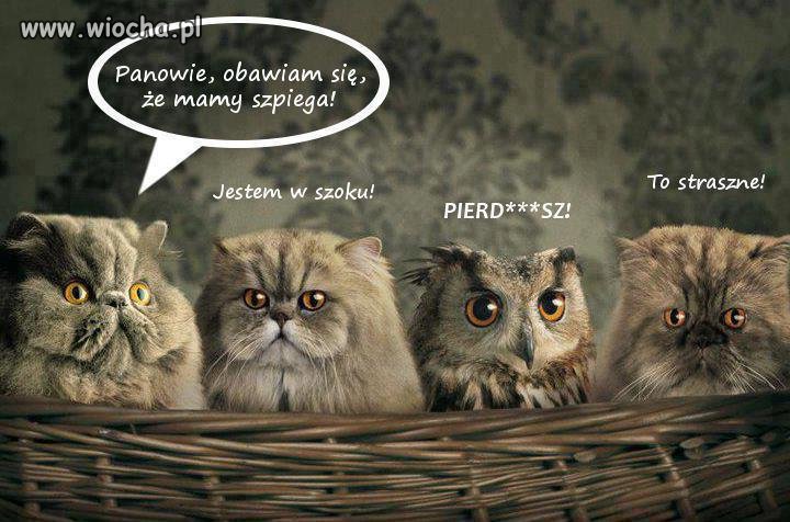 Szpieg ...