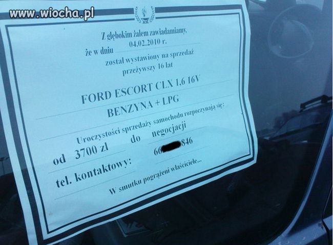 W smutku pogrążeni właściciele ...