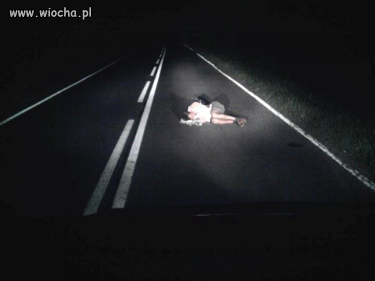 Nie ma to jak drzemka na środku drogi