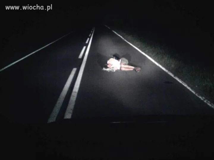 Nie ma to jak drzemka na środku drogi