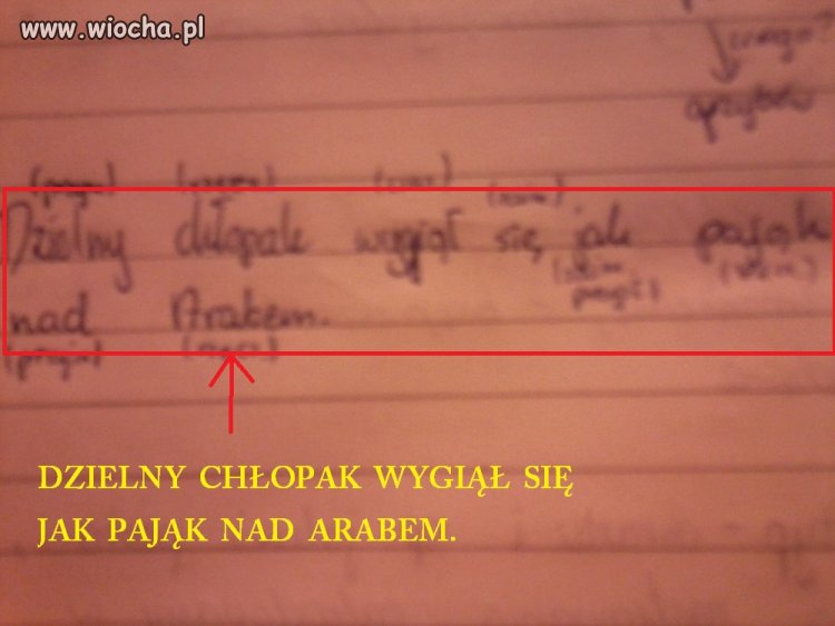 Moja pani z polskiego