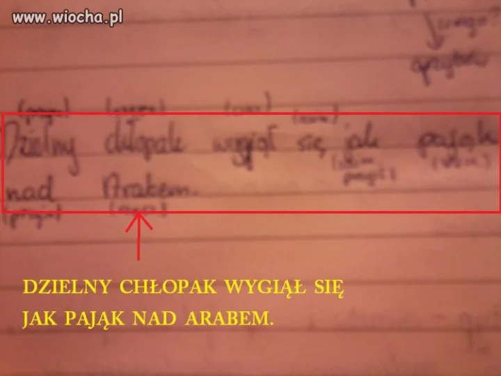 Moja pani z polskiego