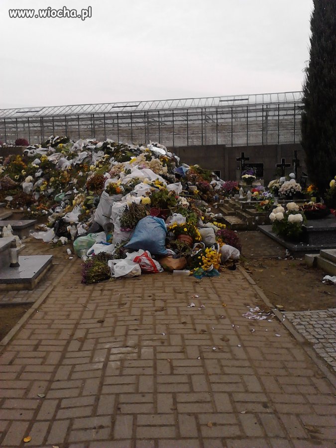 Kultura i porządek na cmentarzu
