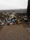 Kultura i porządek na cmentarzu