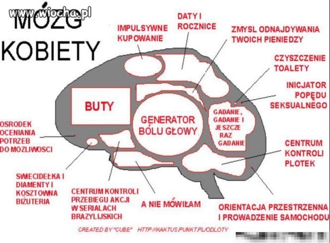 Nam się wydaje, że tam jest coś więcej...