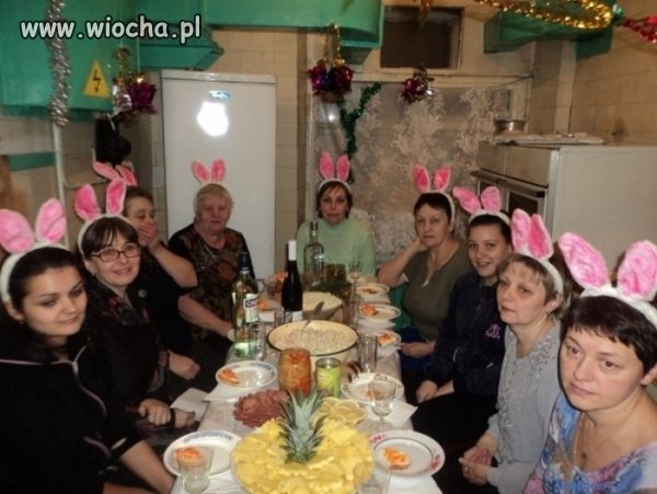 Króliczki playboya...