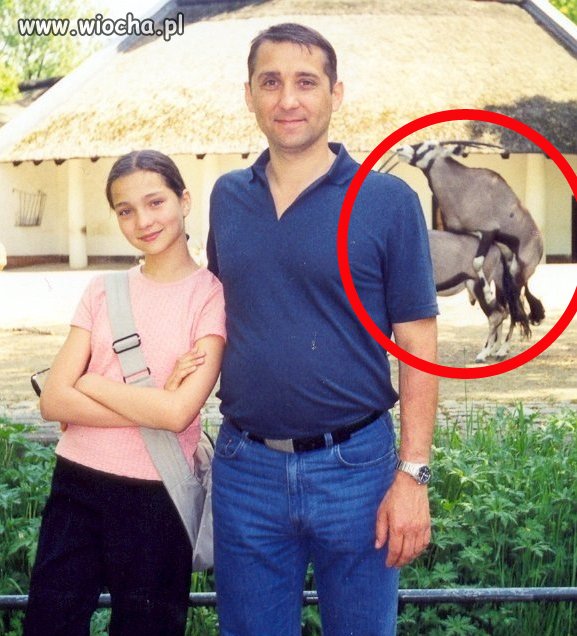 Para za parą...