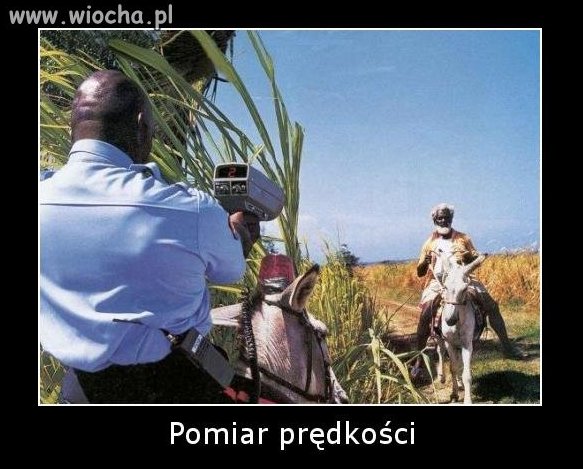 Jak to było "u nas chodz do koni się nie czepiają"