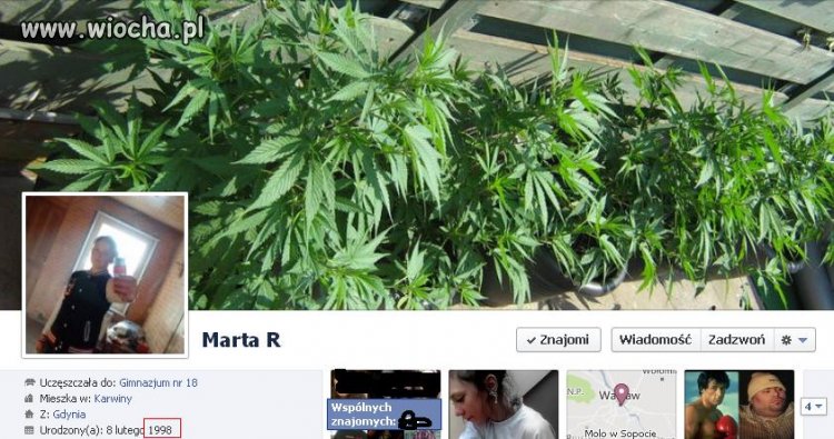 Rocznik 98 i zdjęcie marihuany w tle