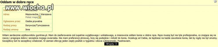 Koń w dobre ręce